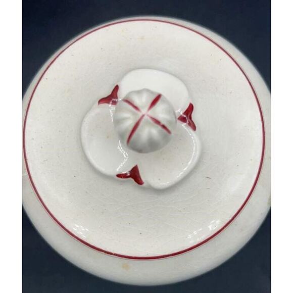 Vintage Edwin Knowles "Spring Glory" Coffee Pot - 1950s - Picture 7 of 14